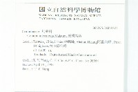 臺灣馬桑藏品圖，第2張