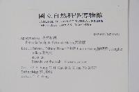 爬森藤藏品圖，第2張