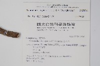 白水木藏品圖，第2張