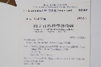 厚殼樹藏品圖，第2張