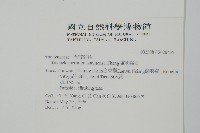 蘭嶼絡石藏品圖，第2張