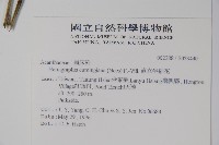 直立半插花藏品圖，第2張