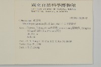 日本賽衛矛、日本假衛矛藏品圖，第2張