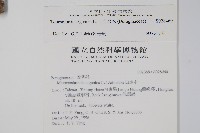 白水木藏品圖，第2張