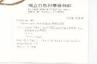 蘭嶼木耳菜藏品圖，第2張