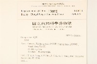 白頂飛蓬藏品圖，第2張