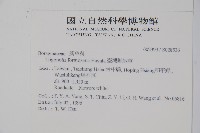 臺灣附地草藏品圖，第2張