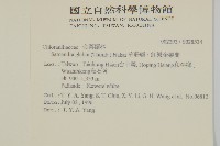 油松寄生藏品圖，第2張