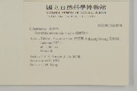 佩羅特木藏品圖，第2張