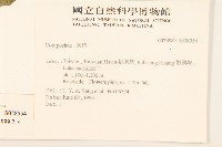 山苦藚、假福王草藏品圖，第2張