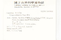 葶藶藏品圖，第2張