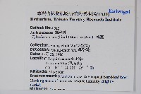 鷗蔓藏品圖，第2張