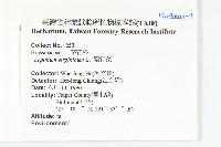 獨行菜藏品圖，第2張