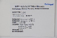 臺灣糊樗藏品圖，第2張