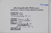 朱紅水木藏品圖，第2張