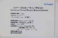 臺灣糊樗藏品圖，第2張