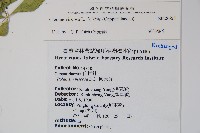 向天黃藏品圖，第2張