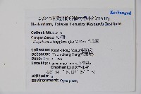 馬醉草、許氏草藏品圖，第2張