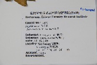 鈴木冬青藏品圖，第2張