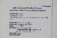 雲南冬青藏品圖，第2張