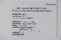 臺灣糊樗藏品圖，第2張