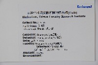 鐵冬青藏品圖，第2張