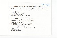 菟絲子藏品圖，第2張