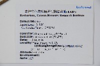 臺灣糊樗藏品圖，第2張