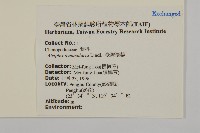 臺灣濱藜藏品圖，第2張