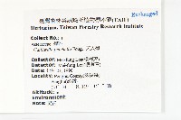 天人菊藏品圖，第2張