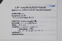 破布烏藏品圖，第2張