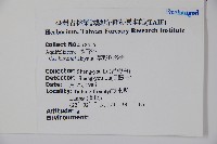 草野氏冬青藏品圖，第2張