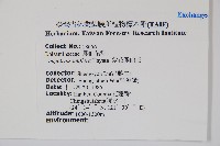 紫花鳳仙花藏品圖，第2張