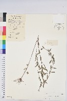 登錄號:S028780藏品圖，第1張