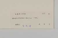 燈豎朽藏品圖，第3張