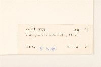 豨簽藏品圖，第3張