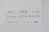 弓果藤藏品圖，第2張