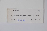 藤春藏品圖，第2張