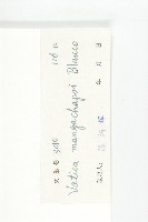 青梅藏品圖，第3張