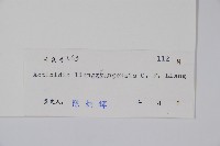 兩廣獼猴桃藏品圖，第2張