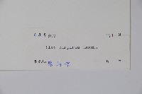 冬青藏品圖，第2張