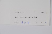 臺灣糯米條藏品圖，第2張