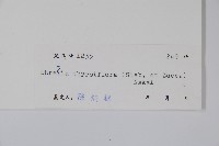 厚殼樹藏品圖，第2張