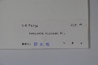 山銀花藏品圖，第2張