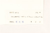 雞兒腸藏品圖，第3張