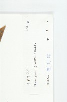 藤胡頹子藏品圖，第3張