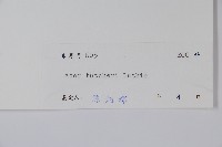 嶺南槭藏品圖，第2張