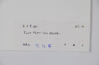 臺灣糊樗藏品圖，第2張