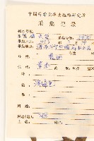 戴星草藏品圖，第2張