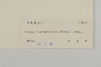 走馬胎藏品圖，第3張